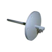 Open-Ended Waveguide Probes